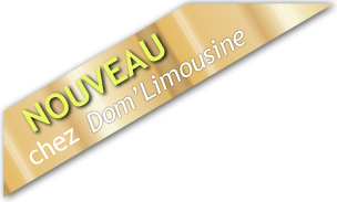 Dom'Limousine